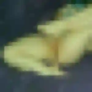 Latifa, 42 ans, en ligne à Saint-Chamond pour un rencontre plan cul