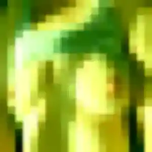 Photo exclusive de Mumbi, 39 ans à Saint-Estève - rencontre coquine