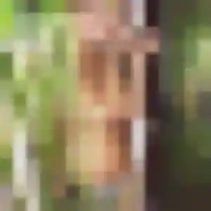 Photo privée de Malaika, 42 ans à Saint-Gratien - rencontre sans lendemain