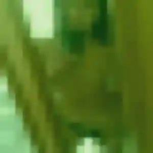 Isatou de Saint-Lys, 43 ans - rencontre plan cul sans prise de tête