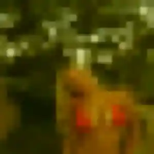 Nafi, femme de 43 ans veut rencontre plan cul à Saint-Nazaire