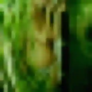 Photo de Akouavi à Santes (43 ans) - rencontre plan cul anonyme