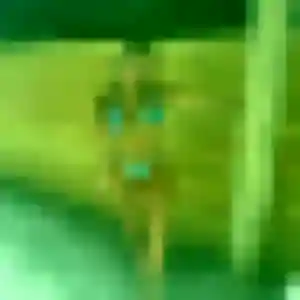 Lise, fille de 39 ans veut rencontre plan cul à Thaon-les-Vosges