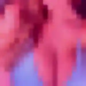 Photo de Jeanine à Trilport (36 ans) - rencontre plan cul sans inscription