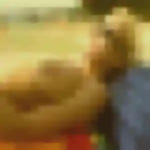 Photo de Astou à Valserhône (23 ans) - rencontre plan cul discret