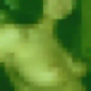 Photo de Rosalie à Villefranche-de-Rouergue (44 ans) - rencontre plan cul anonyme