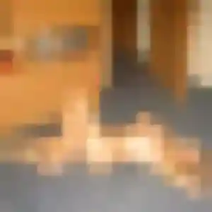 Oluchi, 38 ans, connectée à Wittelsheim pour une rencontre coquine
